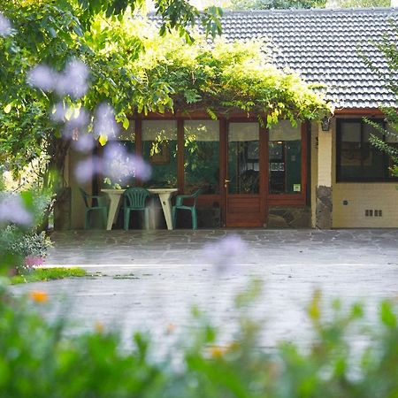 蜂鸟自然小屋住宿加早餐旅馆 特雷利乌 外观 照片