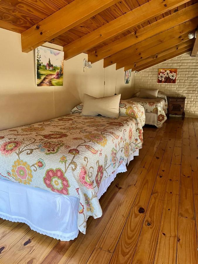 蜂鸟自然小屋住宿加早餐旅馆 特雷利乌 外观 照片