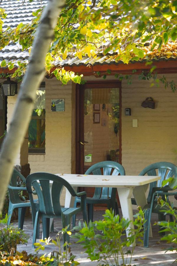 蜂鸟自然小屋住宿加早餐旅馆 特雷利乌 外观 照片